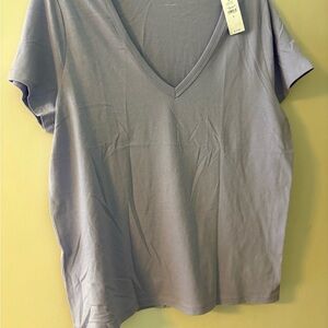 GAP V-Neck Short Sleeve Tee in Light Blue